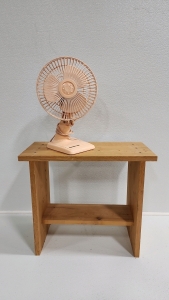 Standing Shelf & Holmes Air Fan