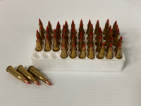 (50) Rnds 218 BEE 40 Gr. V Max