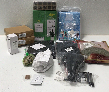 (2) Hummingbird Feeders (2) Coir Totem Poles (1) Pack of Starter Planters (1) Patio Heater Cover (1) Bike Seat (2) Climbing Gear (1) Pool Float and More SP19