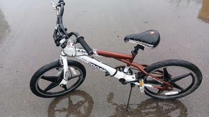 Mongoose Bike