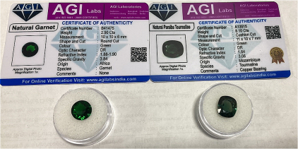 (1) 2.90ct Natural Green Round Cut Garnet African Gemstone, (1) 8.10ct Natural Green Paraiba Tourmaline Cushion Cut Gemstone&hellip; Both W/ COA