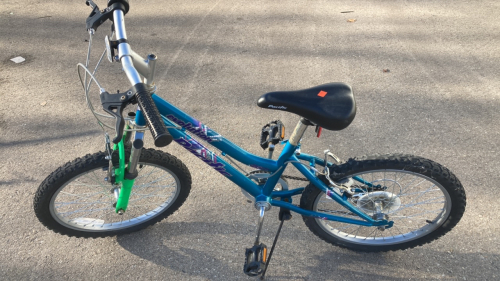 Pacific Evolution Kids Bike