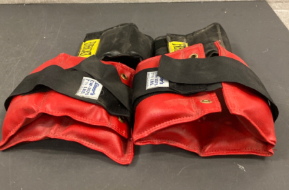 Ankle and wrist weights