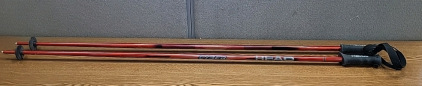 Set of Head Cyber Ski Poles