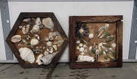 (2) Sea Shell Wall Art