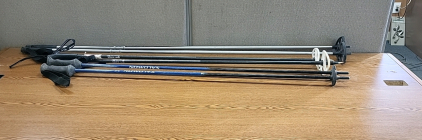 (3) Sets Snow Shoe/Ski Poles