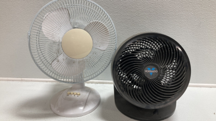 (2) Small Fans