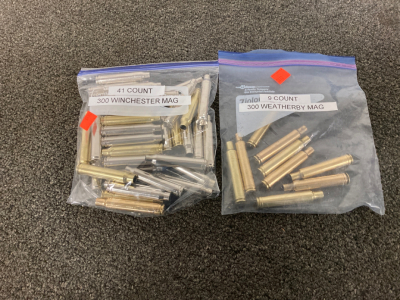 .300 mag bullet casings