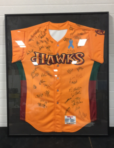 2010 Signed Hawks Jersey