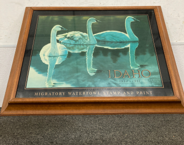 Waterfowl Stamo And Print
