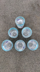 Fish Drinking Glasses