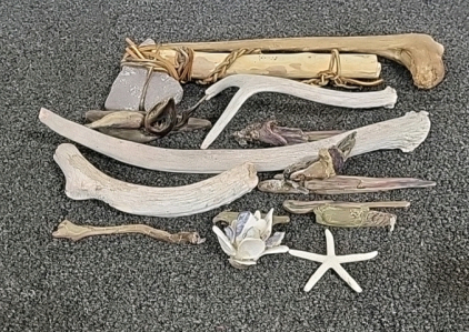 Drift Wood, Deer Antoers, Star Fish and More