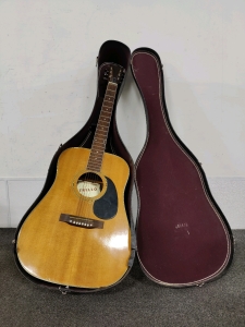 Trillo Acoustic Guitar & Case