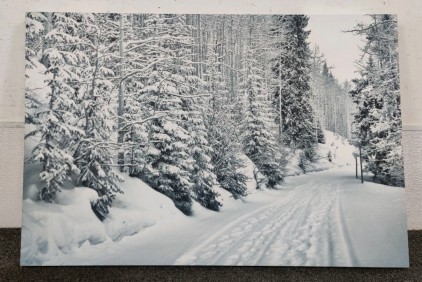 Snowy Forest Canvas Picture