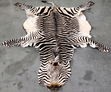 Full Zebra Pelt