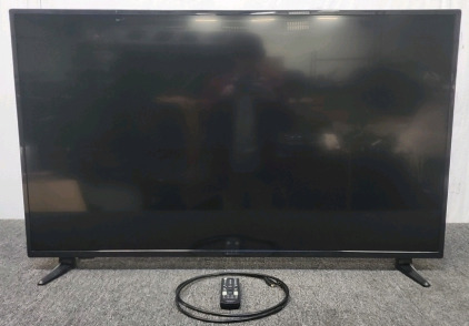 Insignia 48" Flat Screen TV