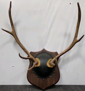 4-Point Antler Rack