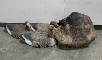 Mesh Bag of Duck Decoys