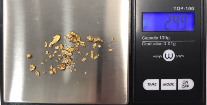 2.49 G Of Local Gold