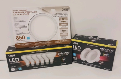 Flush Ceiling Light, Recessed Lights, And Flood Light Bulbs