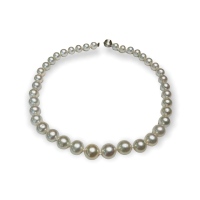 $8,452 Value, 14K South Sea Pearl Necklace