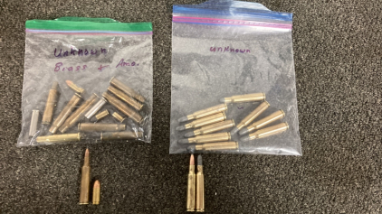 Ammunition
