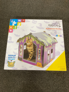 Halloween House for Cat