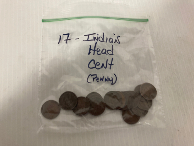 17 Indian head coins