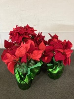 (7) Fake Poinsetta Plants