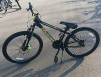 Mongoose Excursion Bike