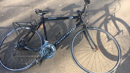Raleigh Road Bike