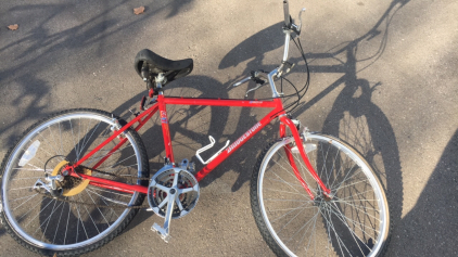 Bridgestone City Limit Bicycle