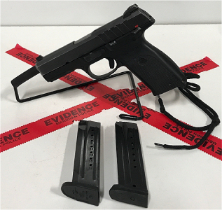 Ruger 9E, 9MM Semi Automatic Pistol