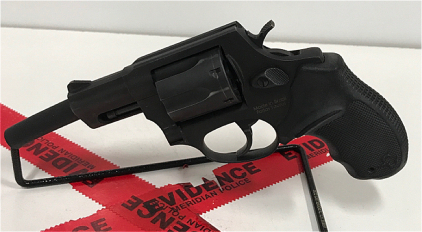 Taurus 856, .38 Revolver