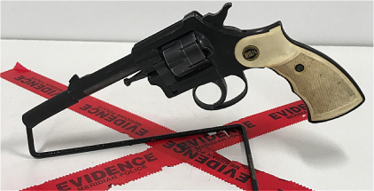 Rohm Arms RG-24, .22LR Revolver