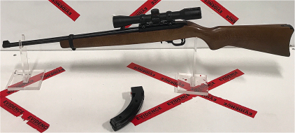 Ruger Model 10/22, .22lr Carbine Autoloading Rifle