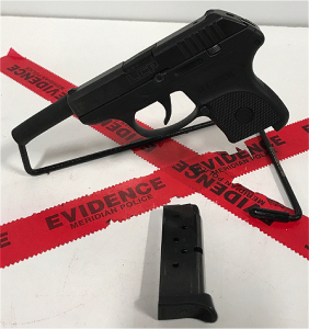 Ruger LCP, .380 Semi Automatic Pistol