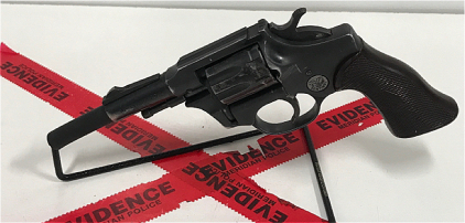 Hi-Point Sentinel R-101, .22LR Revolver