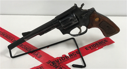 Taurus Intl Brazil 94, .22lr Revolver