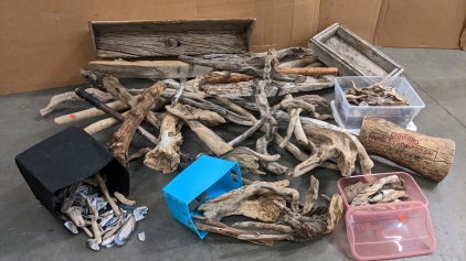 Driftwood & Shells for Landscaping, Decor, Crafts