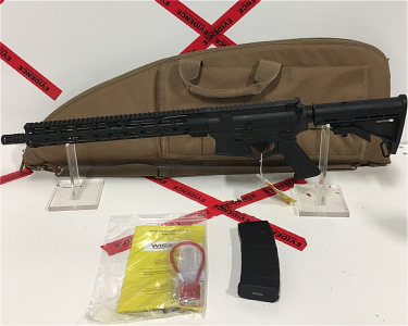 New Wise Arms B-15, 5.56 Semi Automatic Rifle