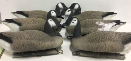 (6) Carry Lite Canadian Goose Decoys