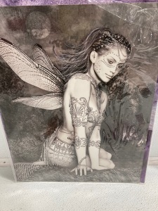 (5) Fairy Pictures