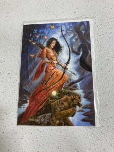 (6) Fairy Pictures