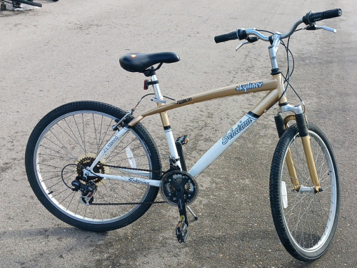 Schwinn Skyliner