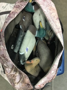 (60) Assorted Duck Decoys