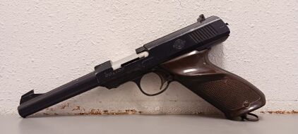 Daisy Co2100 Pellet Gun