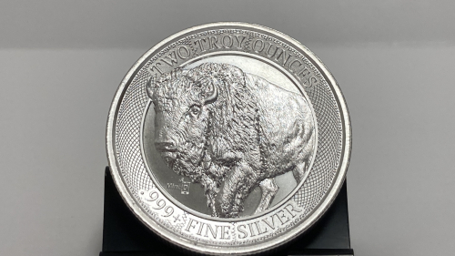 Two Troy OZ. 999 Fine Silver Rounds - Verified Authentic