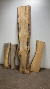 Missouri white pine