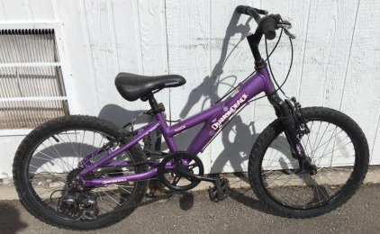 Kids Diamondback Bicycle